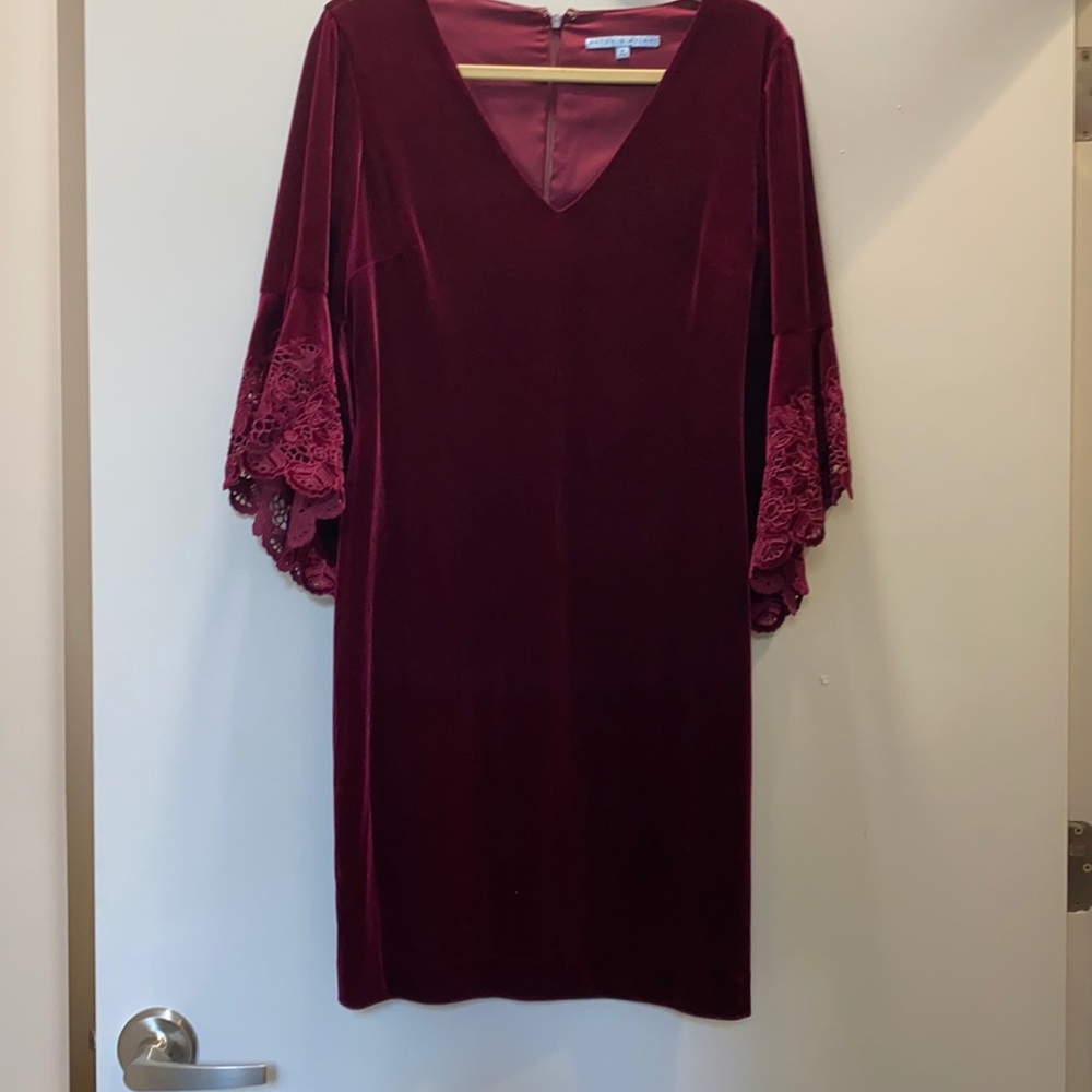 Stunning Velvet dress